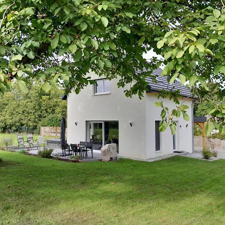 Gite Les Bouleaux Carspach Exterior foto
